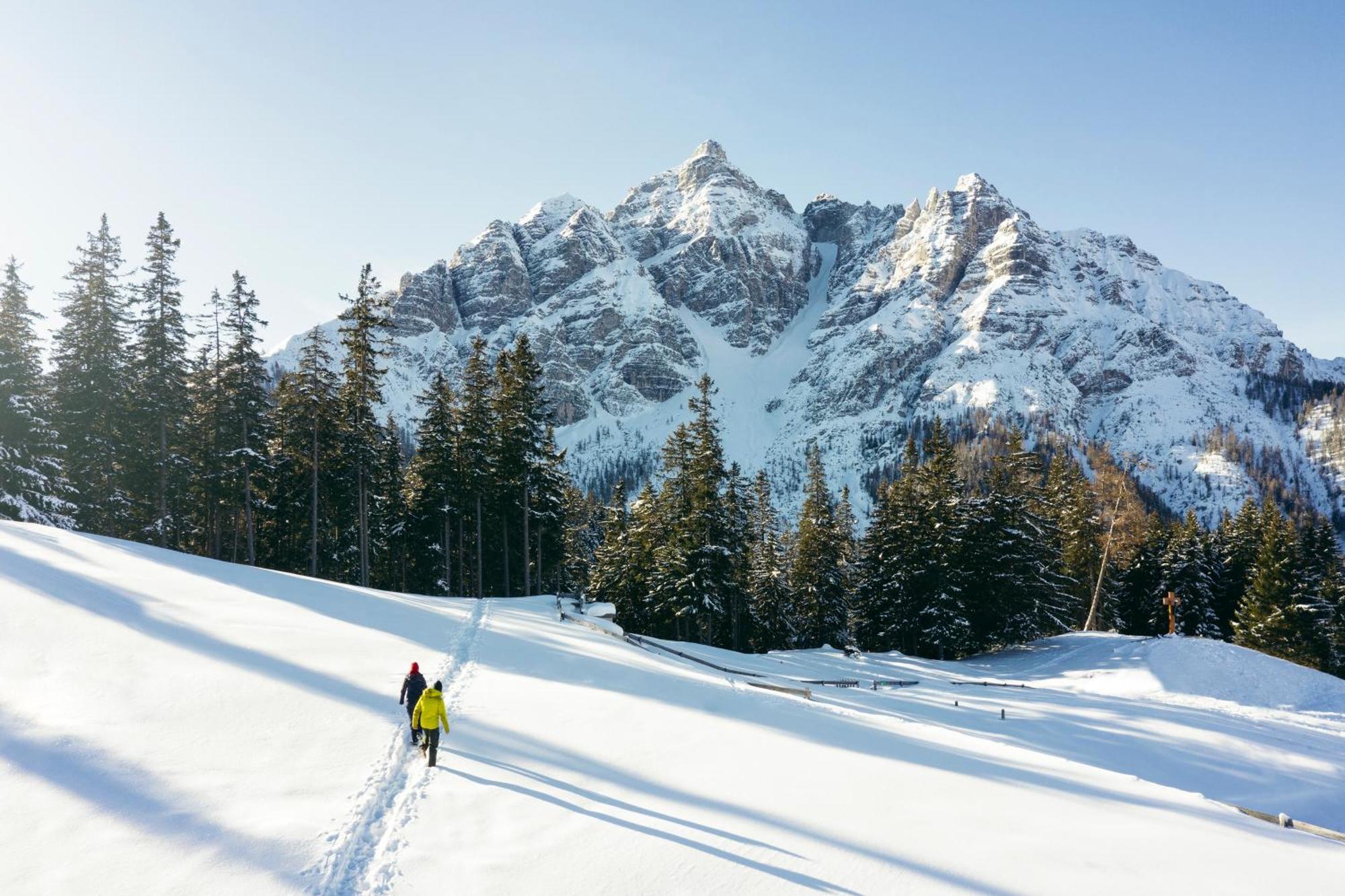 Stoanmandl Wohlfuehlappartements Neustift im Stubaital Εξωτερικό φωτογραφία