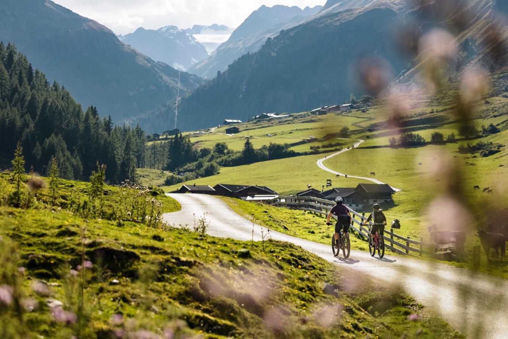 Stoanmandl Wohlfuehlappartements Neustift im Stubaital Εξωτερικό φωτογραφία