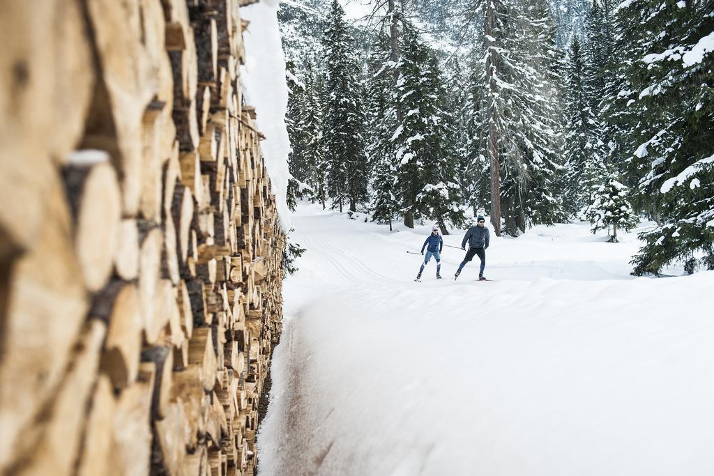 Stoanmandl Wohlfuehlappartements Neustift im Stubaital Εξωτερικό φωτογραφία