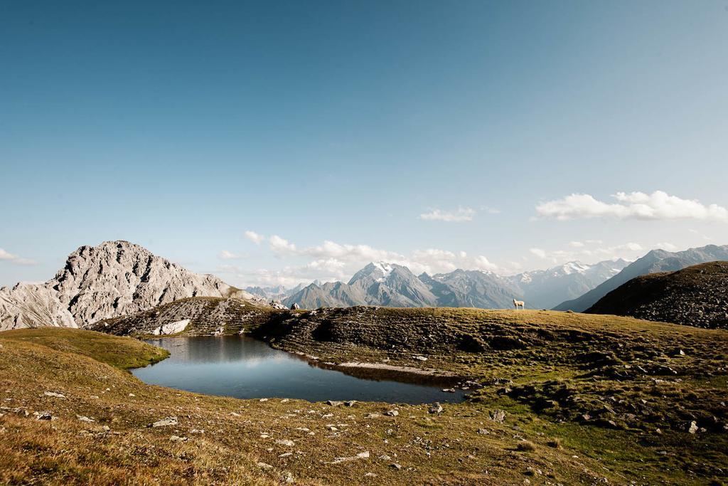 Stoanmandl Wohlfuehlappartements Neustift im Stubaital Εξωτερικό φωτογραφία